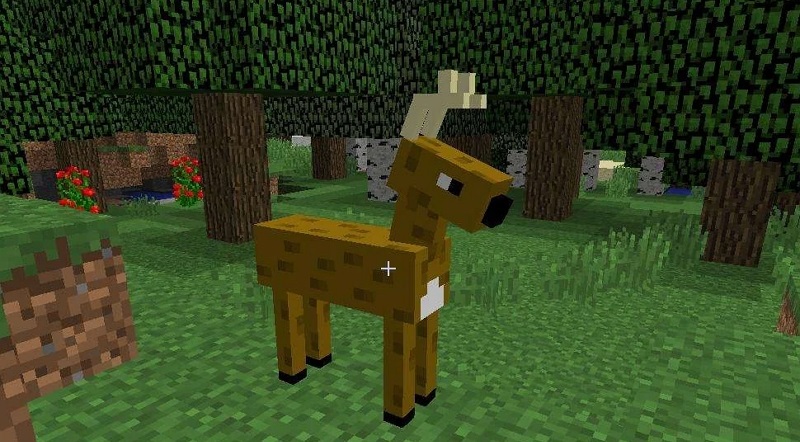 Descargar Minecraft 1.21 5