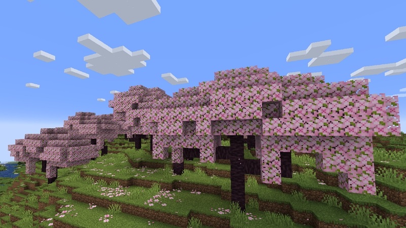 Descargar Minecraft 1.19.73 8