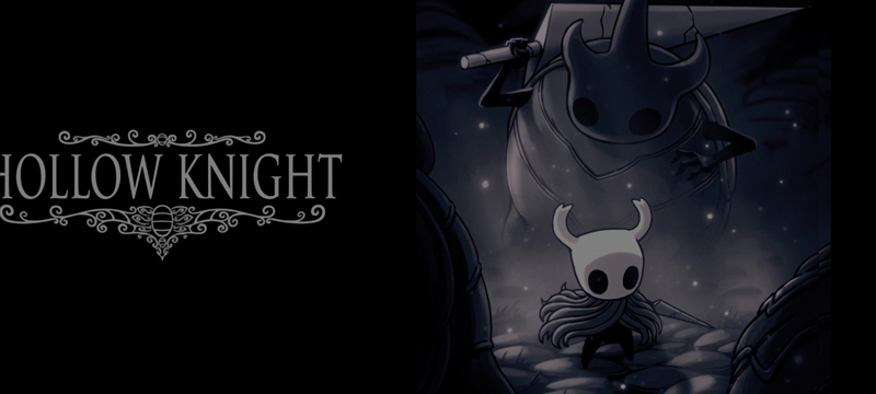 Hollow Knight 10